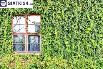 Siatki Kartuzy - Siatka z dużym oczkiem - wsparcie dla roślin pnących na altance, domu i garażu dla terenów Kartuz
