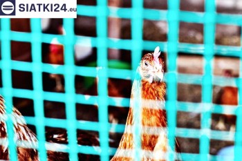Siatki Kartuzy - Siatka na woliery - zabezpieczenia ptaków w hodowli dla terenów Kartuz